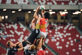 华体会官方_郑智确立新追求！沙特43岁老将亚冠赛场书写历史篇章