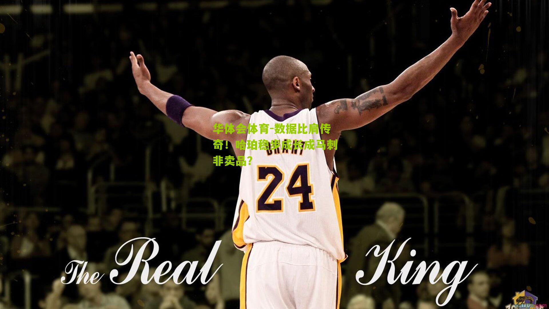 数据比肩传奇！哈珀稳步成长成马刺非卖品？